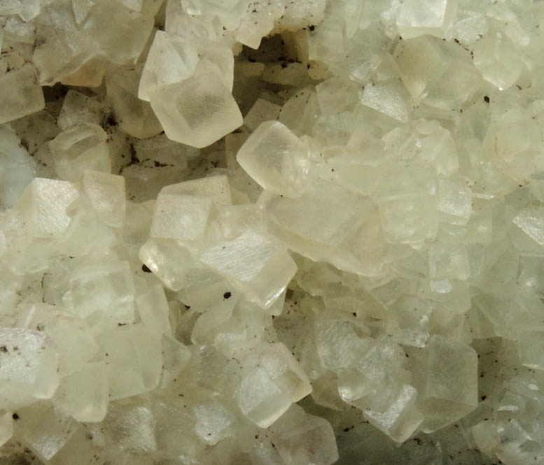 Calcite over Datolite from Millington Quarry, Bernards Township, Somerset County, New Jersey