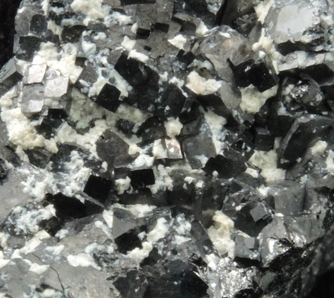 Magnetite (rare cubic crystal form) with Talc from ZCA Mine No. 4, Fowler Ore Body, 2500' Level, Balmat, St. Lawrence County, New York