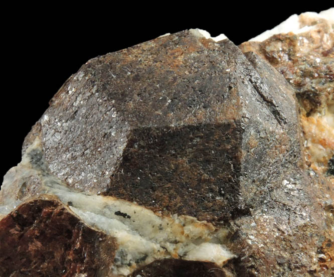 Almandine Garnet in Albite from Pegmatite exposure along power lines, west of Cathance Road, Topsham District, Sagadahoc County, Maine