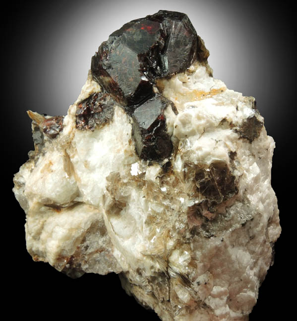 Almandine Garnet in Albite-Quartz-Muscovite from Hedgehog Hill, Peru, Oxford County, Maine