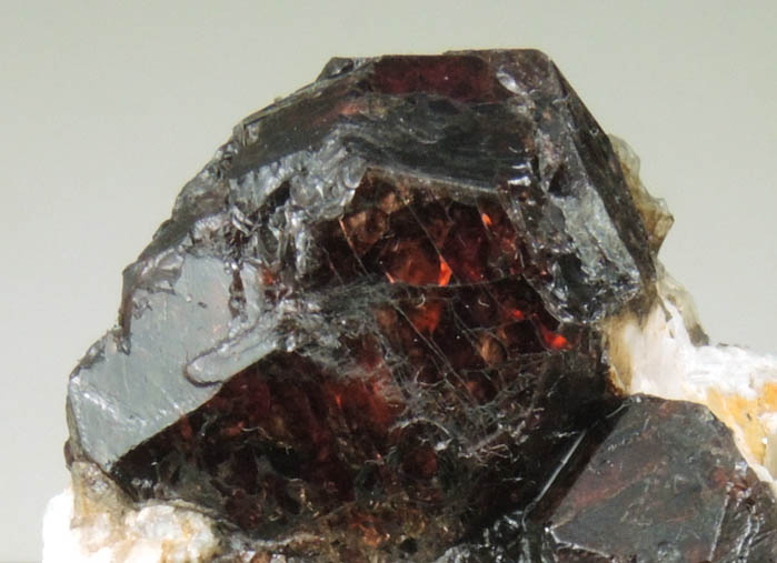 Almandine Garnet in Albite-Quartz-Muscovite from Hedgehog Hill, Peru, Oxford County, Maine