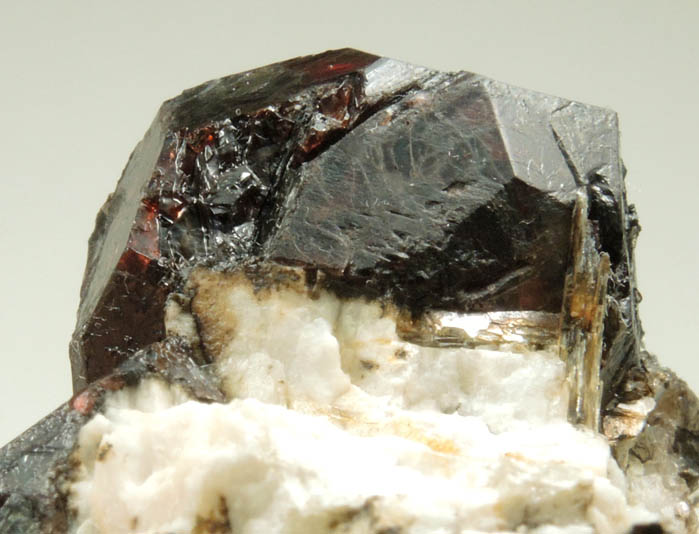 Almandine Garnet in Albite-Quartz-Muscovite from Hedgehog Hill, Peru, Oxford County, Maine