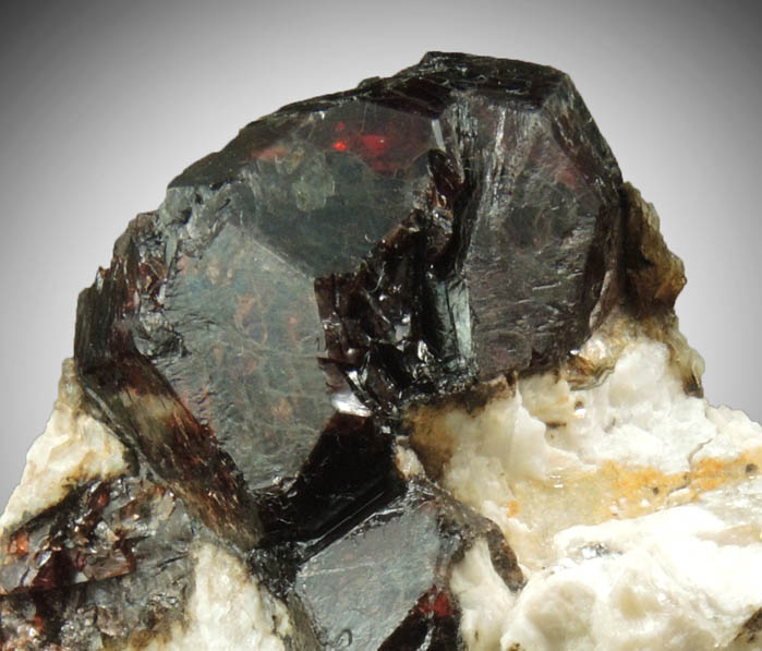 Almandine Garnet in Albite-Quartz-Muscovite from Hedgehog Hill, Peru, Oxford County, Maine