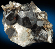 Almandine Garnet in Albite-Quartz-Muscovite from Hedgehog Hill, Peru, Oxford County, Maine