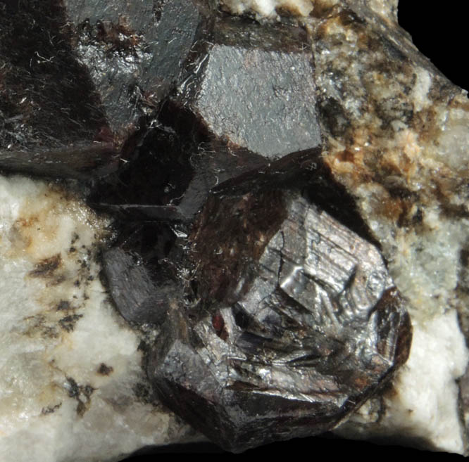 Almandine Garnet in Albite-Quartz-Muscovite from Hedgehog Hill, Peru, Oxford County, Maine