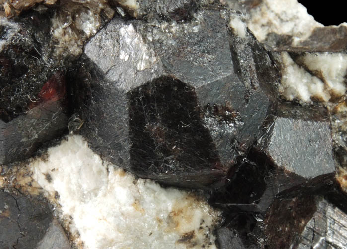 Almandine Garnet in Albite-Quartz-Muscovite from Hedgehog Hill, Peru, Oxford County, Maine