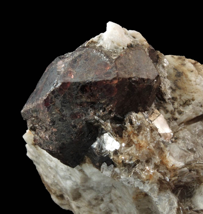 Almandine Garnet in Albite-Quartz-Muscovite from Hedgehog Hill, Peru, Oxford County, Maine