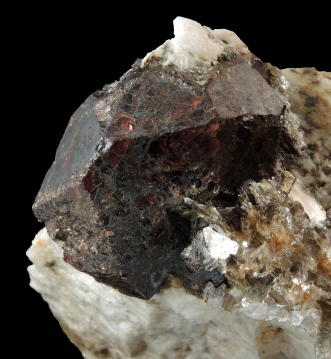 Almandine Garnet in Albite-Quartz-Muscovite from Hedgehog Hill, Peru, Oxford County, Maine