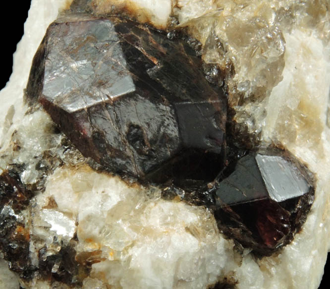 Almandine Garnet in Albite-Quartz-Muscovite from Hedgehog Hill, Peru, Oxford County, Maine