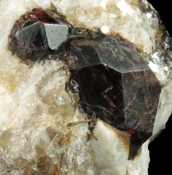 Almandine Garnet in Albite-Quartz-Muscovite from Hedgehog Hill, Peru, Oxford County, Maine