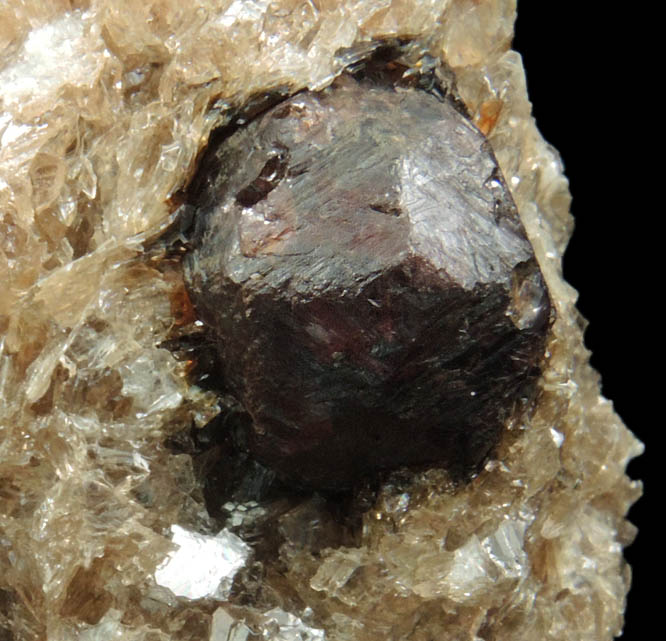 Almandine Garnet in Muscovite from Hedgehog Hill, Peru, Oxford County, Maine