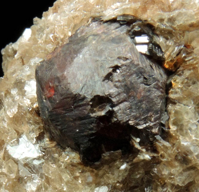 Almandine Garnet in Muscovite from Hedgehog Hill, Peru, Oxford County, Maine