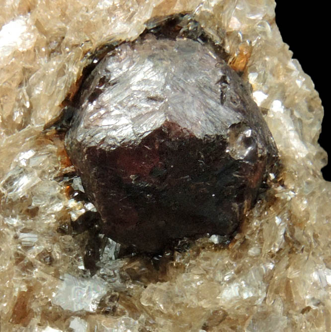 Almandine Garnet in Muscovite from Hedgehog Hill, Peru, Oxford County, Maine