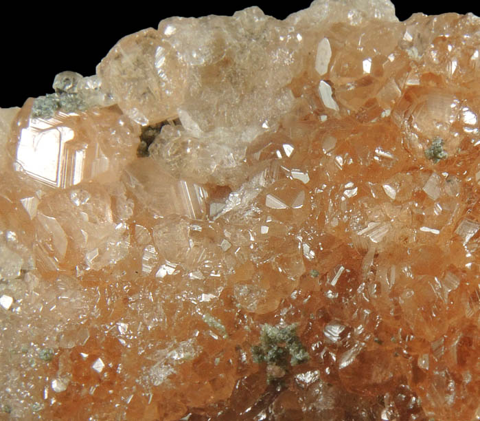 Grossular Garnet with minor Diopside from Jeffrey Mine, Asbestos, Qubec, Canada