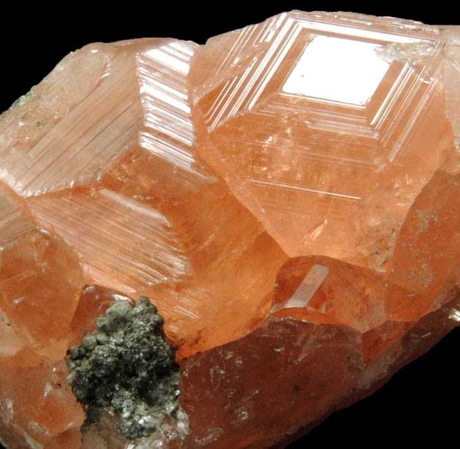 Grossular Garnet with Clinochlore from Jeffrey Mine, Asbestos, Qubec, Canada