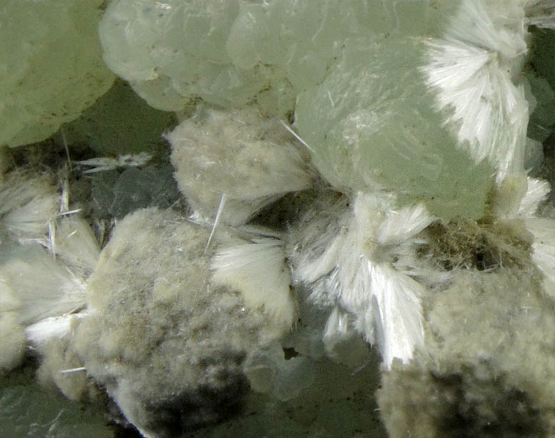 Pectolite on Prehnite from New Street Quarry, Paterson, Passaic County, New Jersey