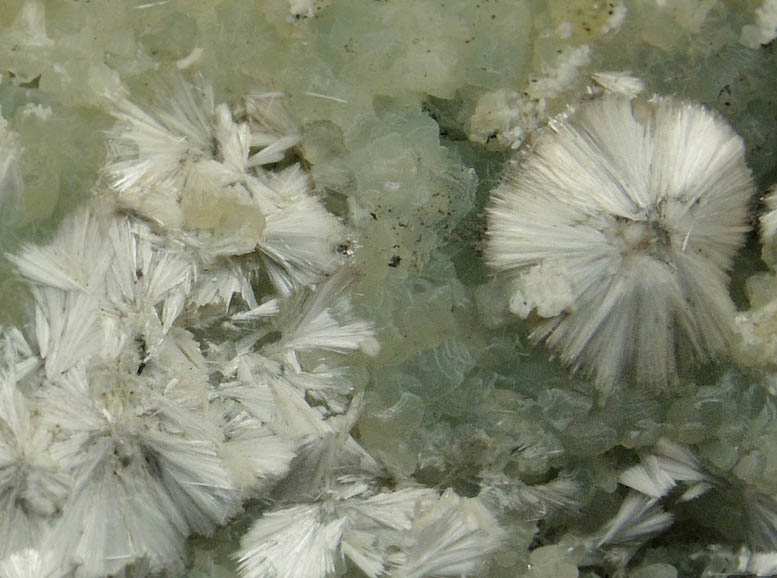 Pectolite on Prehnite from New Street Quarry, Paterson, Passaic County, New Jersey