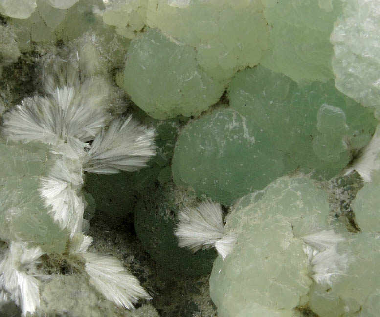 Pectolite on Prehnite from New Street Quarry, Paterson, Passaic County, New Jersey