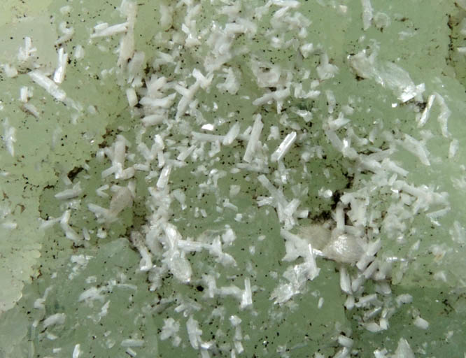 Laumontite on Prehnite with minor Chamosite from Upper New Street Quarry, Paterson, Passaic County, New Jersey