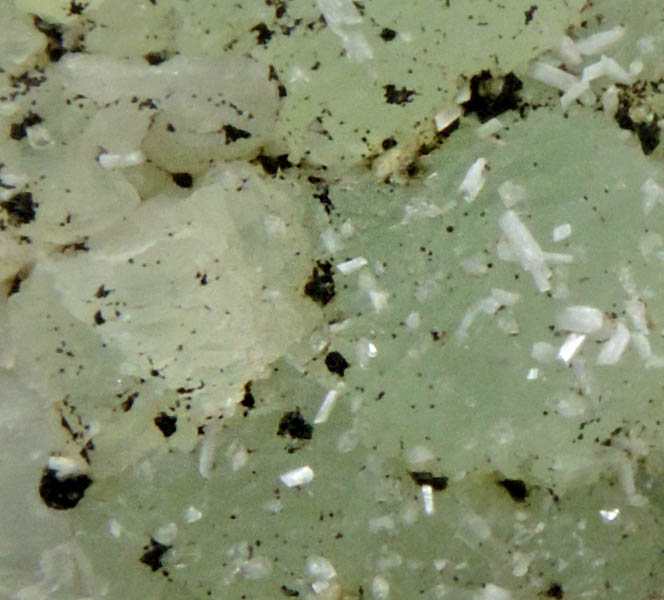 Laumontite and Chamosite on Prehnite from Upper New Street Quarry, Paterson, Passaic County, New Jersey