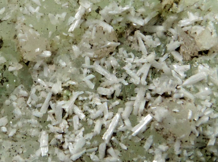 Laumontite and Chamosite on Prehnite from Upper New Street Quarry, Paterson, Passaic County, New Jersey