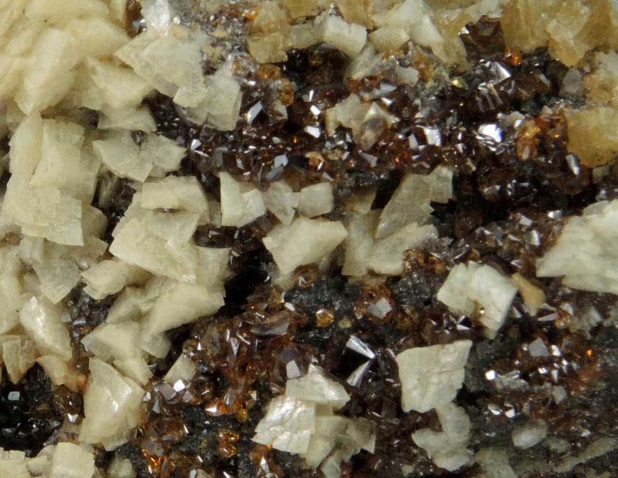 Sphalerite, Dolomite, Siderite, Pyrite from Mina Troya, Mutiloa, 19 km southwest of San Sebastin, Pais Vasco, Spain