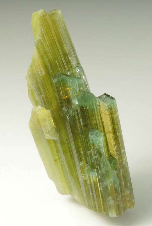 Elbaite Tourmaline from Kamdesh District, Nuristan Province, Afghanistan