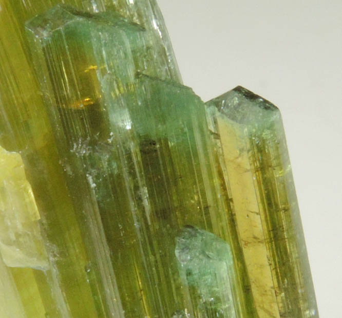 Elbaite Tourmaline from Kamdesh District, Nuristan Province, Afghanistan