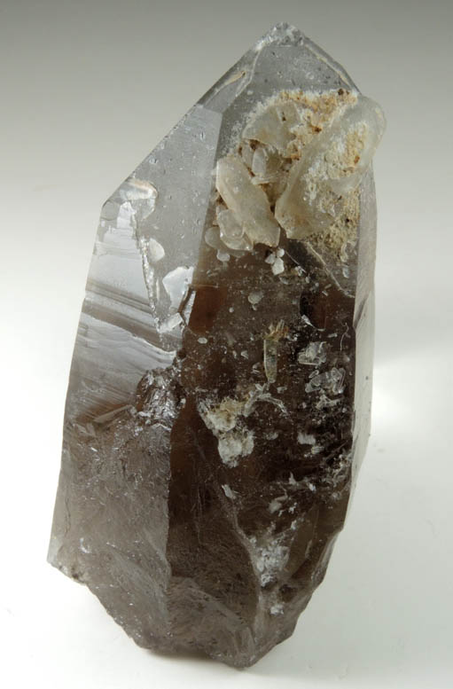 Quartz var. Smoky Quartz (gem-grade) from North Moat Mountain, Bartlett, Carroll County, New Hampshire