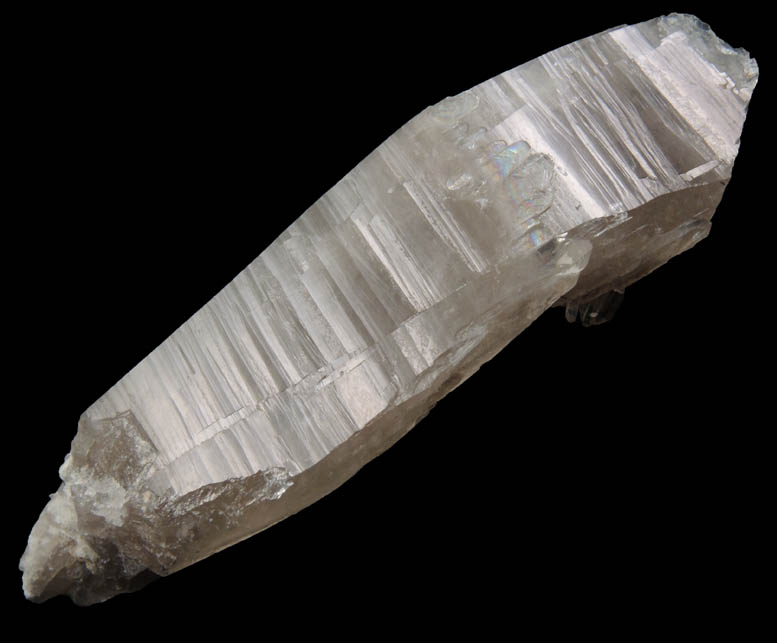 Quartz var. Smoky Quartz (curved crystal) from North Moat Mountain, Bartlett, Carroll County, New Hampshire