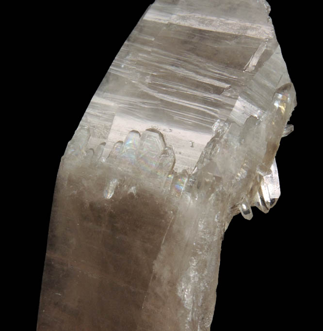 Quartz var. Smoky Quartz (curved crystal) from North Moat Mountain, Bartlett, Carroll County, New Hampshire