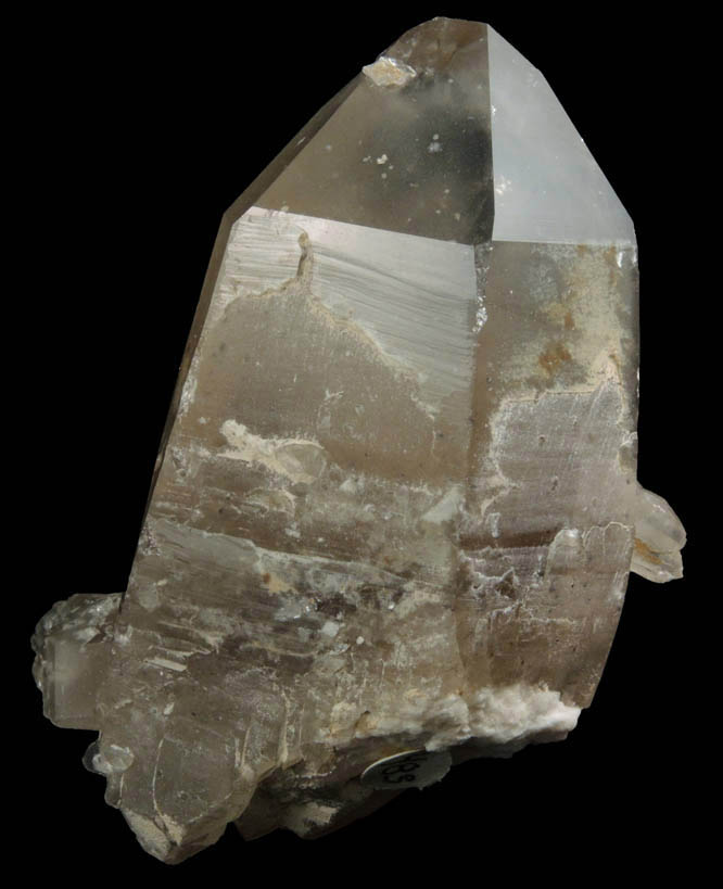 Quartz var. Smoky Quartz (etched crystals) from North Moat Mountain, Bartlett, Carroll County, New Hampshire