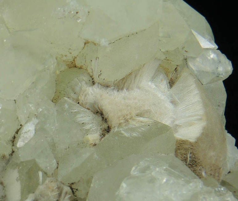 Datolite with Pectolite from Millington Quarry, Bernards Township, Somerset County, New Jersey