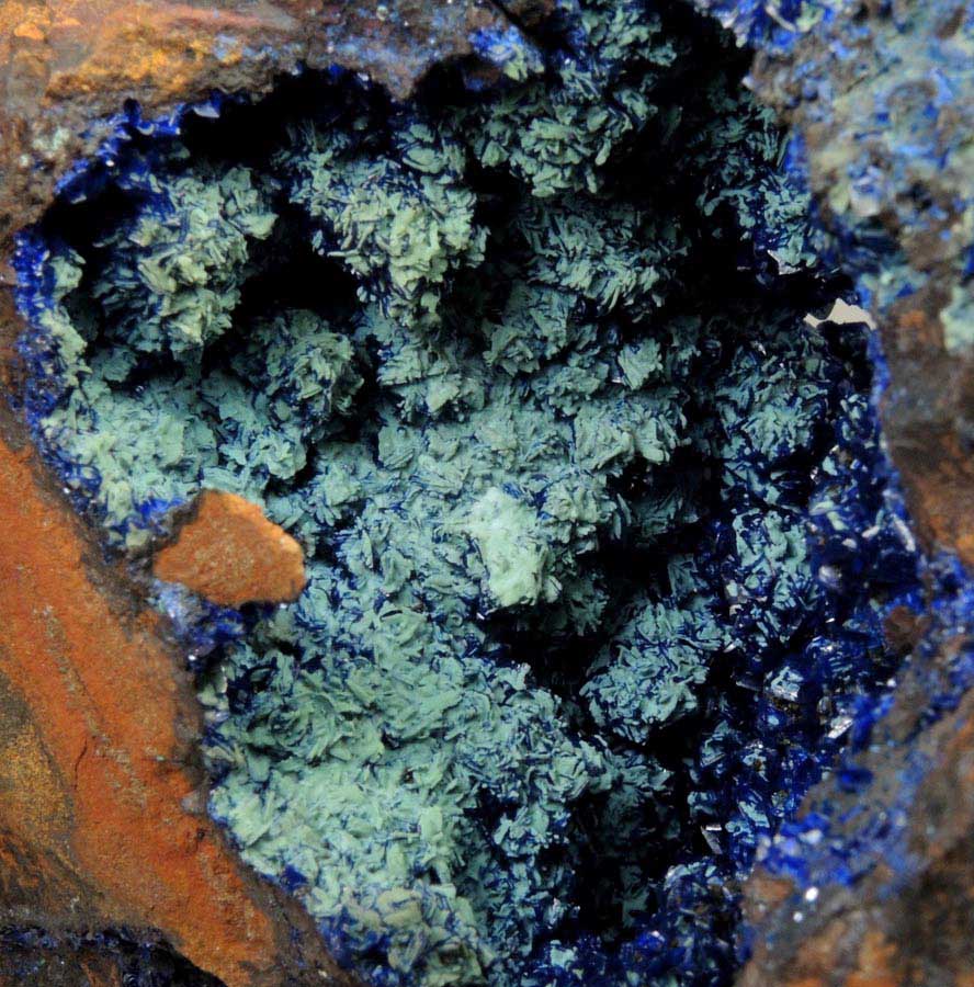 Azurite and Chrysocolla from Morenci Mine, 4750' level, Lone Star Area, Clifton District, Greenlee County, Arizona