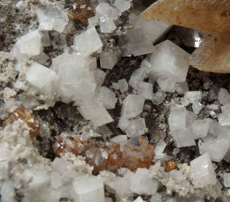 Calcite, Dolomite, Sphalerite from Walworth Quarry, Wayne County, New York