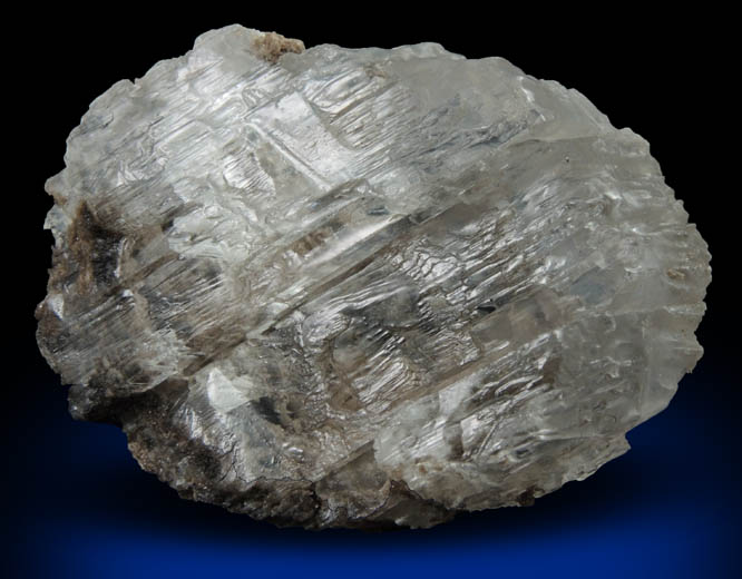 Gypsum var. Selenite from Walworth Quarry, Wayne County, New York