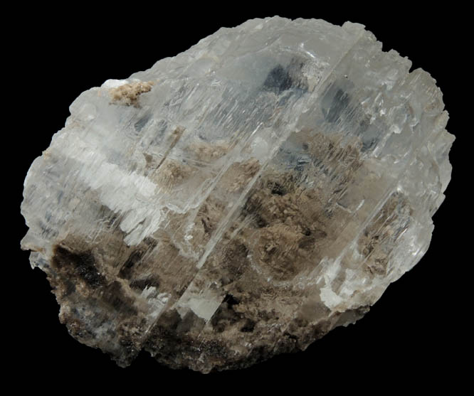 Gypsum var. Selenite from Walworth Quarry, Wayne County, New York