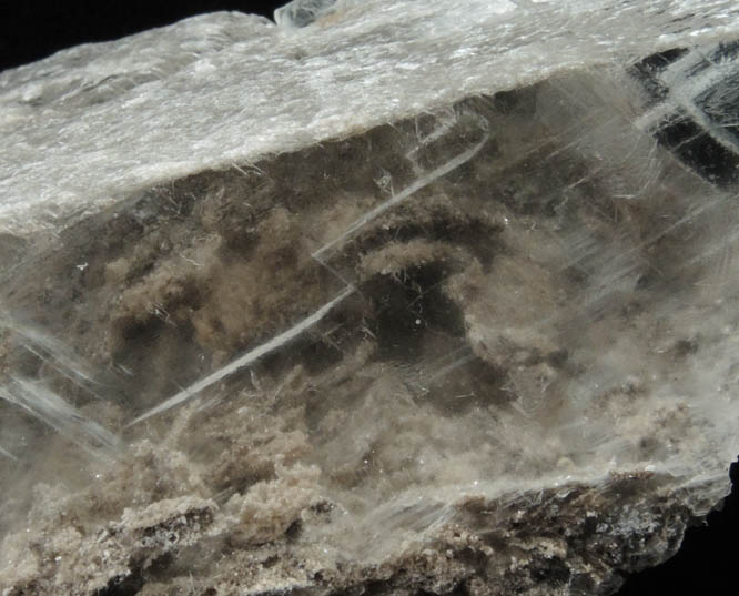 Gypsum var. Selenite from Walworth Quarry, Wayne County, New York