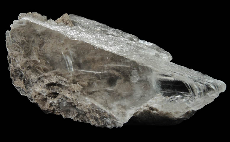 Gypsum var. Selenite from Walworth Quarry, Wayne County, New York