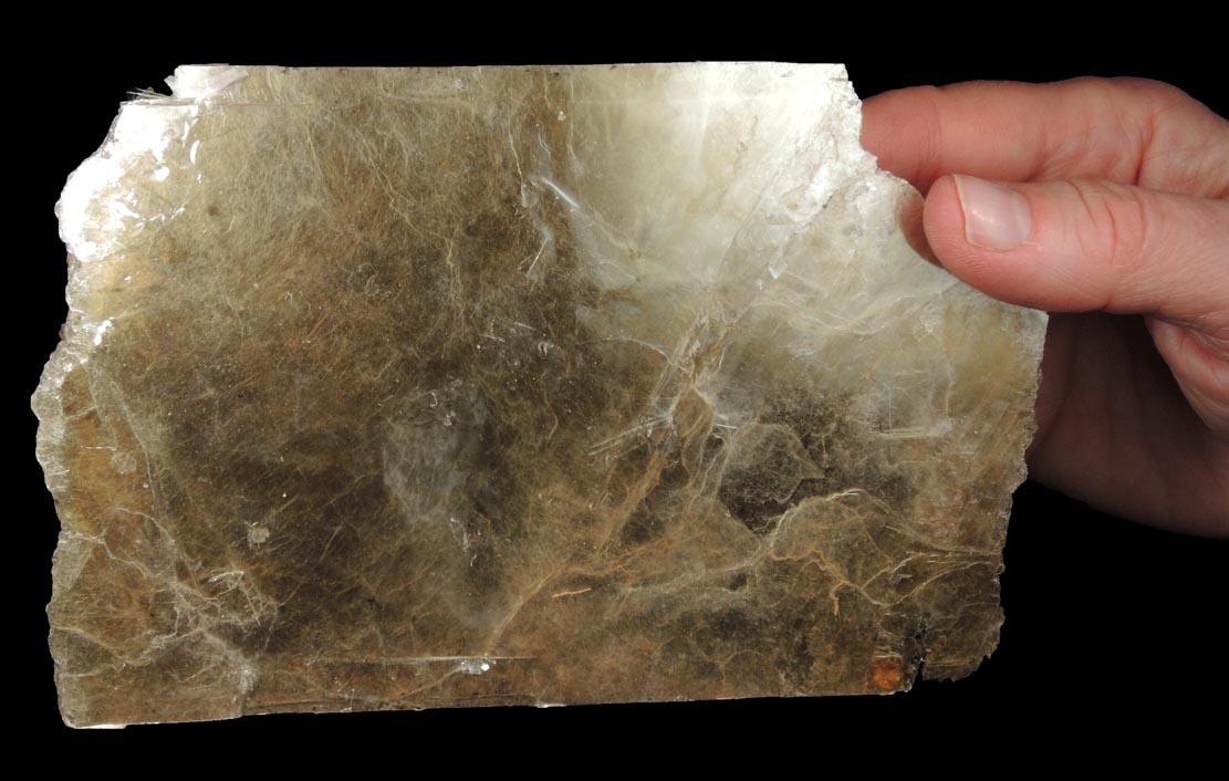 Muscovite (large book of thin crystals) from Strickland Quarry, Collins Hill, Portland, Middlesex County, Connecticut