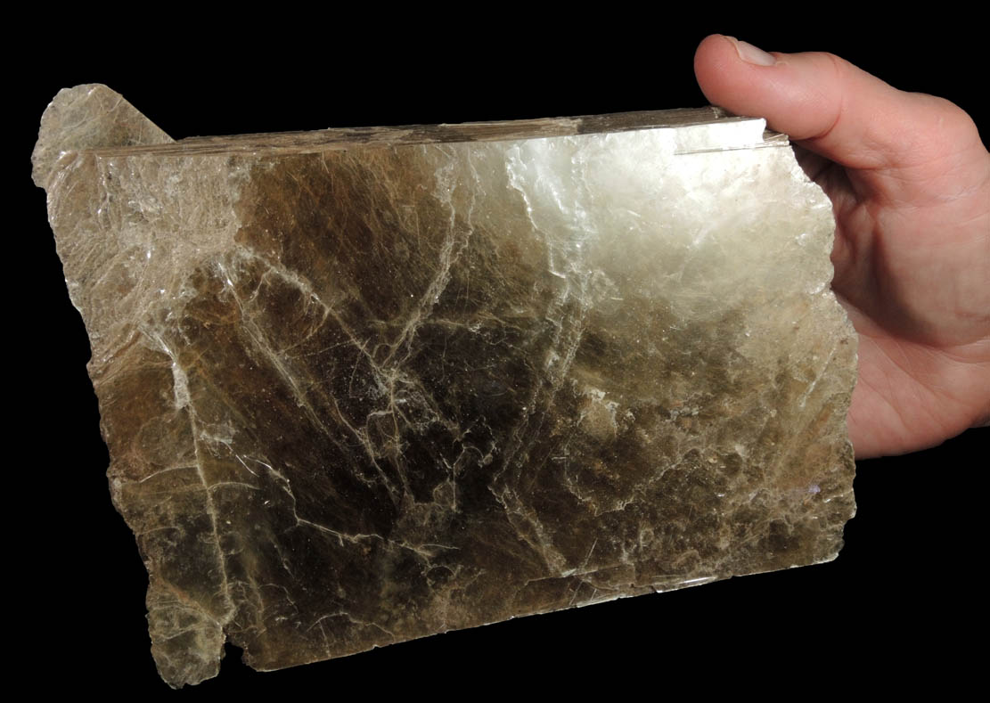 Muscovite (large book of thin crystals) from Strickland Quarry, Collins Hill, Portland, Middlesex County, Connecticut