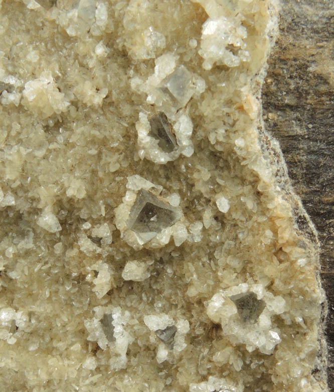 Calcite (twinned crystals) with Stilbite and Apophyllite from Fanwood Quarry (Weldon Quarry), Watchung, Somerset County, New Jersey