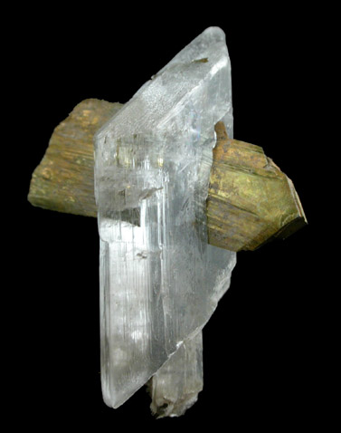 Marcasite in Gypsum var. Selenite from Kanopolis Lake Dam, Ellsworth County, Kansas