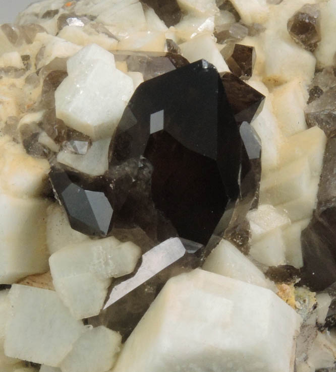 Microcline and Smoky Quartz (with x and s-faces) from Moat Mountain, Oliver Diggings, Hale's Location, west of North Conway, Carroll County, New Hampshire