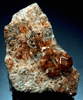 Grossular Garnet from Jeffrey Mine, Asbestos, Qubec, Canada