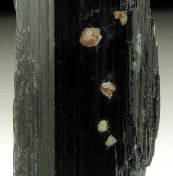 Arfvedsonite (rare terminated Arfvedsonite crystal) with Zircon and Microcline from Hurricane Mountain, east of Intervale, Carroll County, New Hampshire