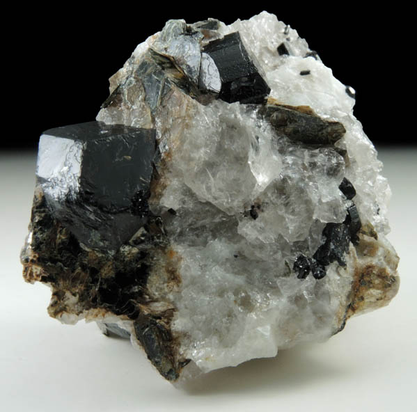 Schorl Tourmaline from Timm's Hill, Haddam, Middlesex County, Connecticut