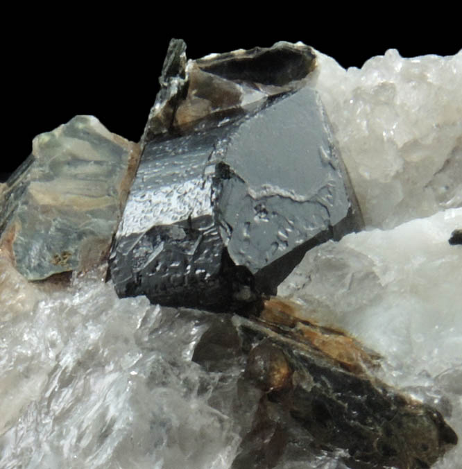 Schorl Tourmaline from Timm's Hill, Haddam, Middlesex County, Connecticut