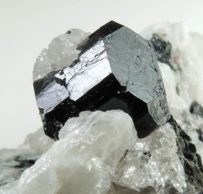 Schorl Tourmaline from Timm's Hill, Haddam, Middlesex County, Connecticut