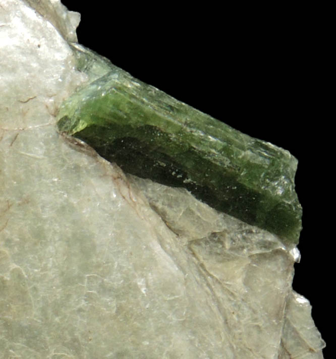 Elbaite Tourmaline in Muscovite from Strickland Quarry, Collins Hill, Portland, Middlesex County, Connecticut